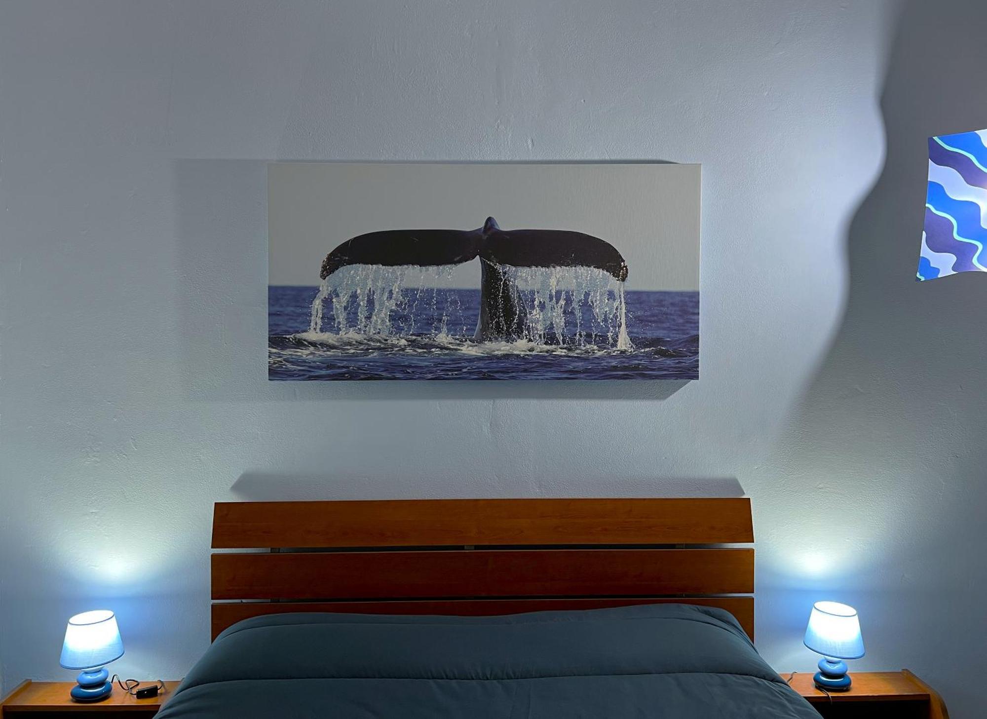 Casa Vacanze Oceano 利沃诺 外观 照片
